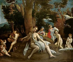 Leda e il cigno